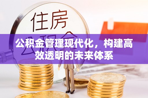 番禺公积金管理现代化，构建高效透明的未来体系