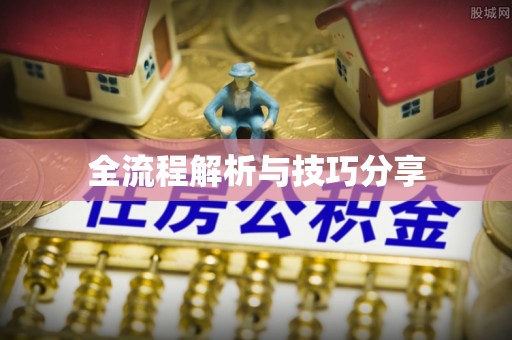 番禺全流程解析与技巧分享